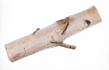 birch log with white bark and knots isolated on white background