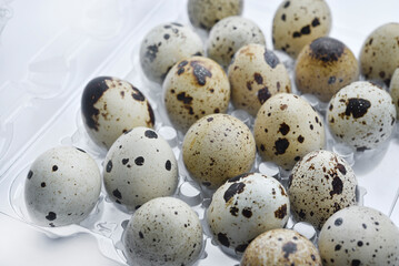 Quail eggs in plastic packaging. Quail eggs on a white background. A delicious snack.