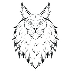 Maine Coon cat. Vector illustration of a sketch Kitten ginger. Illustration for cat cattery, pet shop, pet hotel