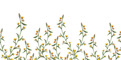 Floral seamless horizontal border with flowers, leaves, wild oats. Watercolor hand drawn pattern on white background. Panoramic illustration summer meadow for fabric, textile, wrapping.