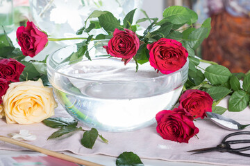 Cut red and yellow roses on and near bowl with water preparing help them stay fresh looking, flowers for arrangement placed near bowl with water   
