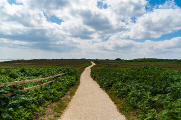 Fototapeta na wymiar Warren Hill, Hengistbury Head, UK - July 1st 2023: Footpath through the the heath.
