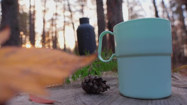 Hot Drink in a Green Mug Stands on a Forest Table. Next to the Mug is a Pine Twig and a Pine Cone, in the background a thermos. Steam from the Mug of Tea. Concept of Walking In the Park, Biotourism