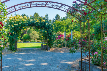 Seatac Garden In Bloom 2