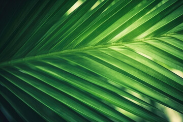 Obraz premium Vibrant Palm Leaf Pattern. Generative AI