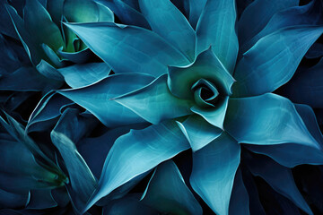 Agave Cactus Dark Blue Toned. Generative AI
