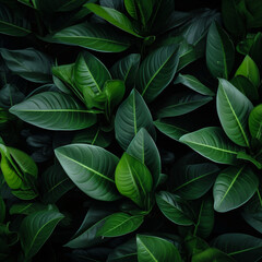 background of cut saturated green leaves,
Al Generation