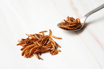 Parmesan flavored edible worms snack on a spoon
