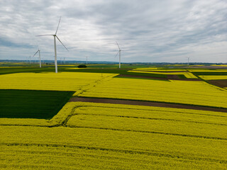 Canola cultivation seen from above - drone flight, yellow and green pastures
