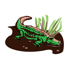 Fototapeta premium Crocodile lies and watches on a white background in EPS10