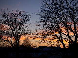 Fototapeta premium silhouette at sunset