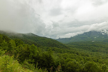 landscape in the eastern Great Smoky Mountains National Park