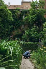 Milan, Italy- May 13, 2023: Caring for plants. Old woman gardener sitting working in botanical...