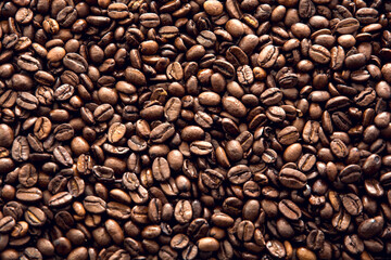brown coffee seed texture close up