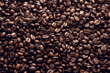 brown coffee seed texture close up