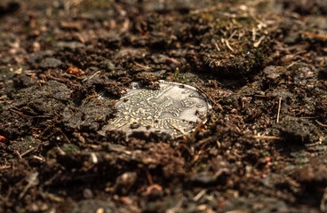 An old silver coin lies in the ground. An ancient find in the forest. Search for treasure.