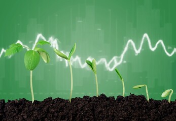 Growing finance concept and green young plants