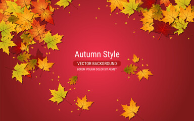 Autumn style vector background with colorful leaves. Banner, coupon, card, flyer, booklet design template