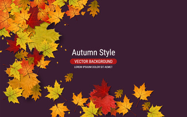 Autumn style vector background with colorful leaves. Banner, coupon, card, flyer, booklet design template