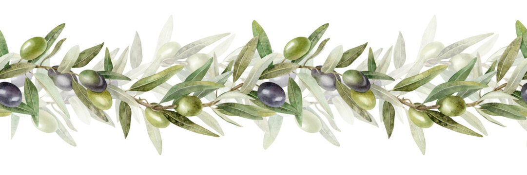 Olive branches, leaves and fruits. Seamless border of branches olive tree. Watercolor hand drawn illustration. For menu, packaging design, wedding invitation, save the date or greeting card.