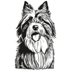 Bearded Collie dog pet sketch illustration, black and white engraving vector realistic pet silhouette