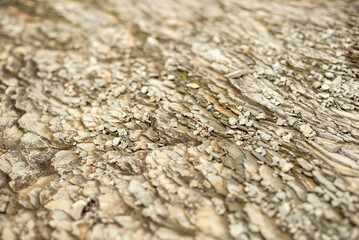 a stone wall texture background 