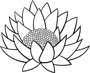 Water lily clipart