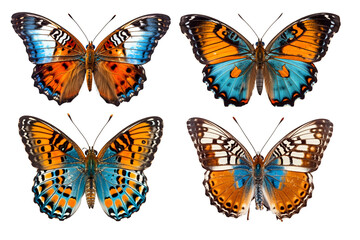 Fototapeta na wymiar butterfly isolated on transparent background ,generative ai