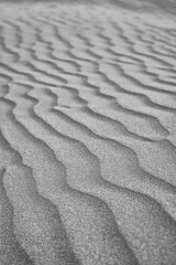 Dubai sand dune. Black and white photo.