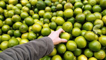 Lemons in a hand