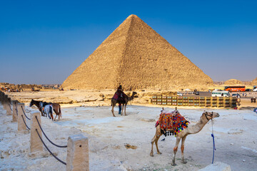 Camel at the Giza pyramid complex,  Giza necropolis is home to the Great Pyramid, the Pyramid of Khafre, and the Great Sphinx in Cairo, Egypt.  Travel and history.