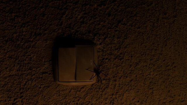 Auf dem Lichtschalter sitzt eine Nosferatu Spinne, eine Hand dr&uuml;ckt auf den Schalter und das Licht geht an, Zoropsis spinimana