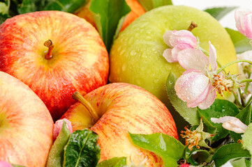 closeup of various juicy apples
