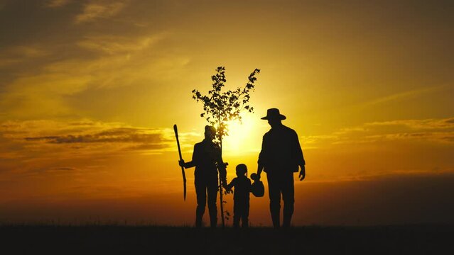 fresh sapling tree sunset, young roots, soil earth, plant garden, silhouette happiness family father mother child, family silhouette with tree, gardening, happy family team, family with shovel