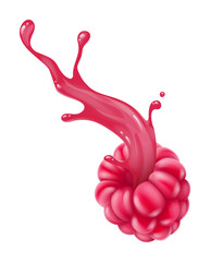 Raspberry fruit with juice splash. Vector