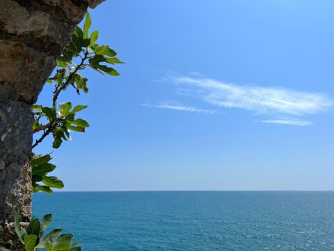Blue sea sky sunny day horizon 