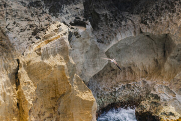 Arecibo cueva del indio rock texture formations landscape in the coast of puerto rico