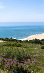 View of the sandy beach in Nazare area in Portugal