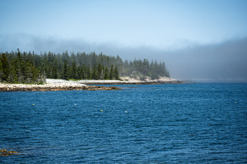 Foggy Coastline