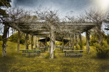 Arbor overgrown with trees