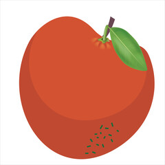 red apple with leaf