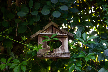 Wooden old birdhouse with a hole hanging on a tree. Birdhouse in garden.