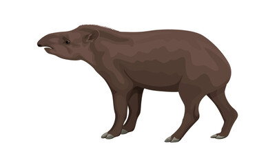 Obraz na płótnie Canvas South American tapir or Lowland Tapir vector illustration