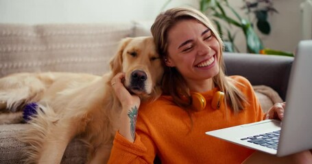 A young beautiful blonde girl works at a computer and is periodically distracted by her big light-colored dog in order to stroke it
