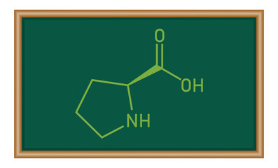 Chemical structure of proline (C5H9NO2). Chemical resources for teachers and students. Chemistry resources for teachers and students.