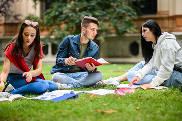 Students sitting on the grass and studying together at the park