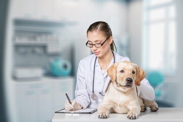 Fototapeta na wymiar Vet Clinic concept, Veterinarian and cute dog, AI generated image