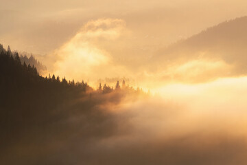 Ukraine, Ivano Frankivsk region, Verkhovyna district, Dzembronya village, Foggy Carpathian Mountains landscape at sunset