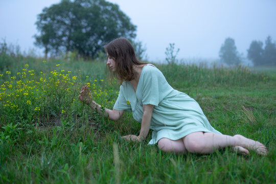Woman looking at flowers in meadow on foggy day