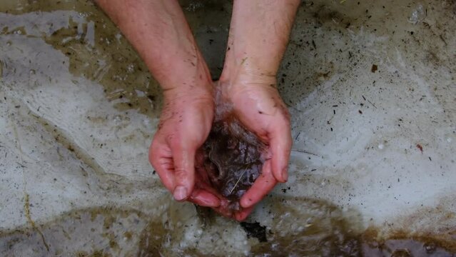 Close up and slow motion while drawing handful of dirty water from container.